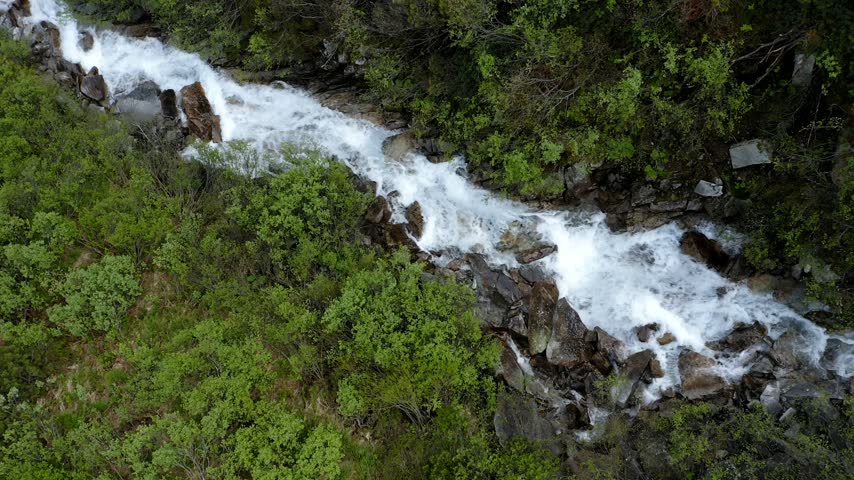 Aerial View of a Rushing Mountain Stream Flowing Through a Green Forest