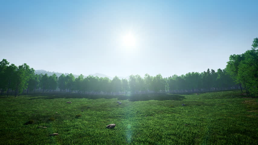 A beautiful view of a lush green meadow with stones and long tree shadows under a bright sunny sky.