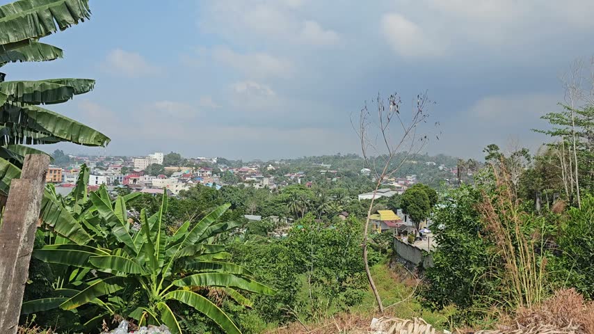 Lush greenery frames a distant town under a cloudy sky. Banana plants stand tall beside dry, overgrown vegetation. Sparse trees and bushes dot the hillside foreground