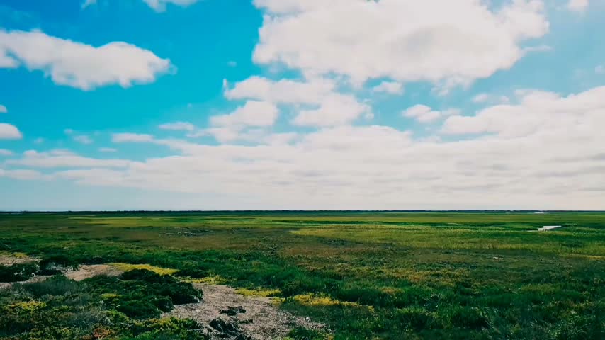 ​Stunning timelapse video showing fast-moving white clouds passing over a vast green coastal salt marsh and tidal wetland ecosystem under a bright blue sky.