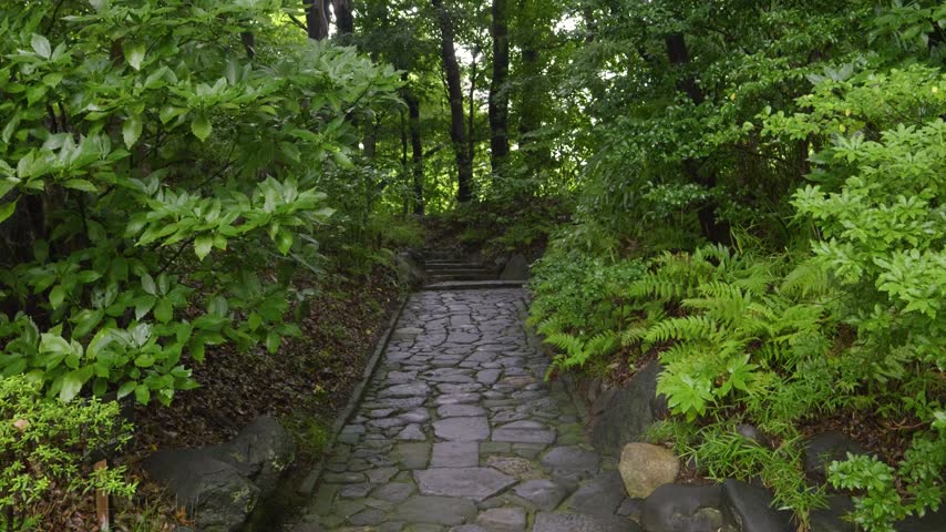 Slow motion push in walk through stone path surrounded by lush summer greenery