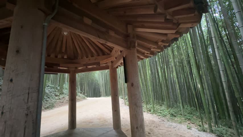 Traditional Korean Wooden Pavilion in Bamboo Forest in Gwangju South Korea

Video footage from beneath a traditional Korean-style wooden pavilion surrounded by tall bamboo trees in a peaceful forest setting in Gwangju, South Korea.