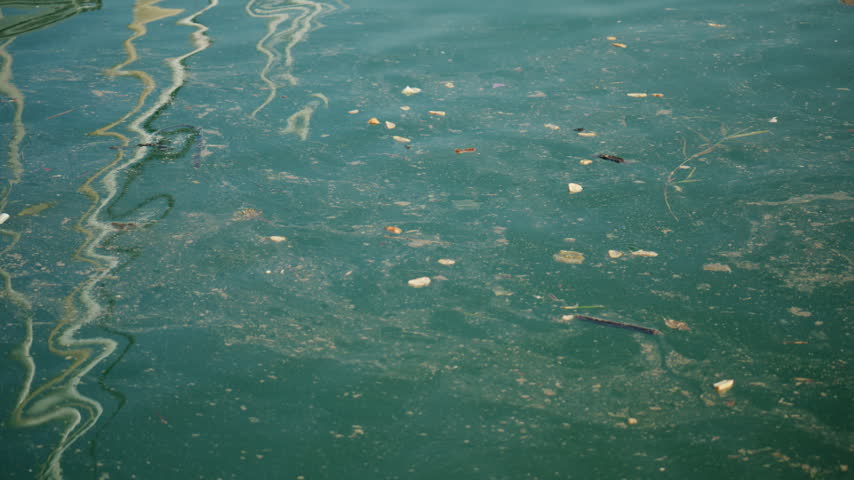 Marine pollution with floating debris and dirty harbor water