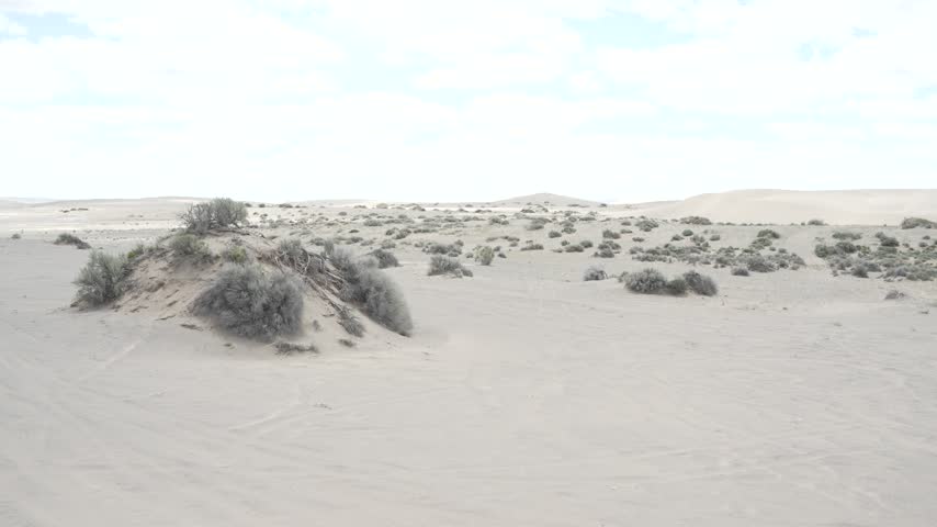 White sand dunes and sagebrush in the Oregon high desert