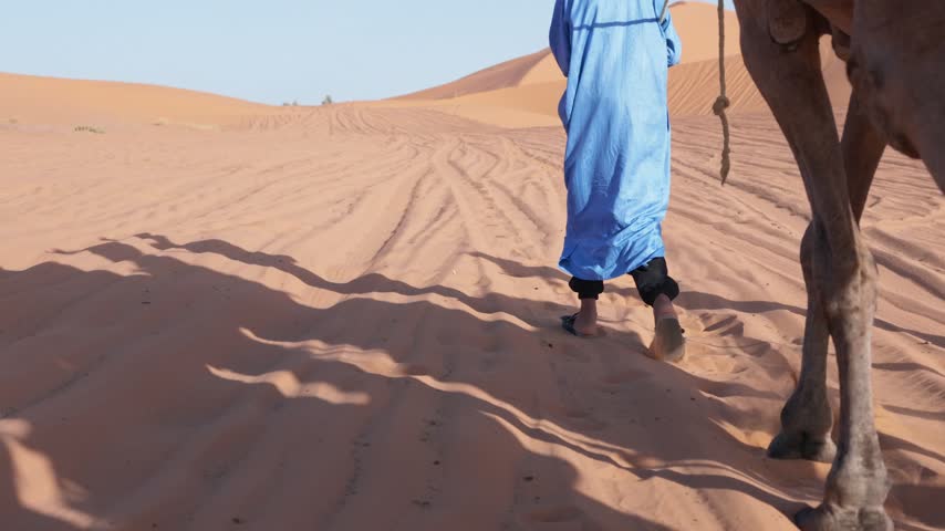 Low-angle perspective of a berber man in a traditional blue djellaba leading a camel caravan through the sahara desert, casting long shadows on the warm, orange sand dunes