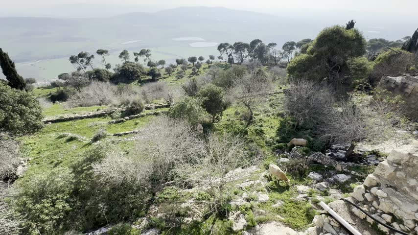 View of the silhouette of Mount Meron from Muhraqa Monastery on the Carmel mountain range in Israel, with the distant mountain visible on the horizon.