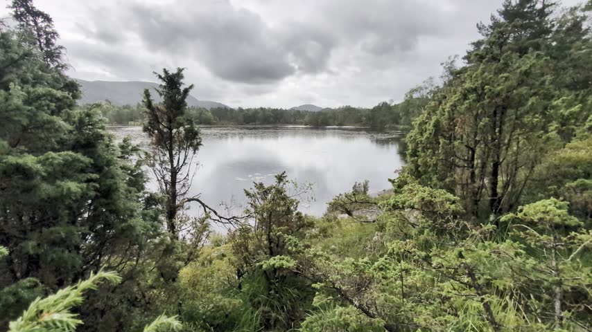 Forest lake scene with dramatic clouds and rainfall. Very lush landscape with calm water. 