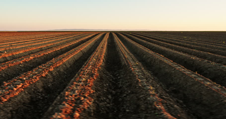 Ploughed soil with long furrows in a rural countryside landscape ready for planting season
