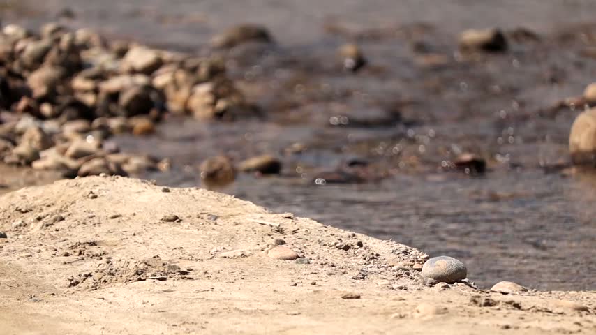 A shallow natural stream flows across a sandy rural dirt road, surrounded by smooth river stones, muddy banks, and green grass. The scene captures a quiet outdoor landscape with natural water flow and an unpaved countryside setting.