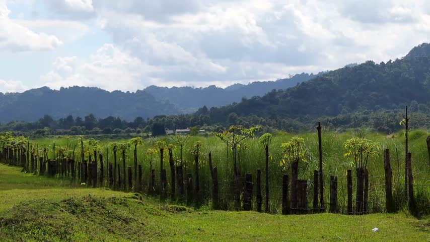 A scenic rural landscape featuring a rustic wooden fence, tall green grass, young plants, open fields, and lush forest-covered mountains beneath a partly cloudy sky.