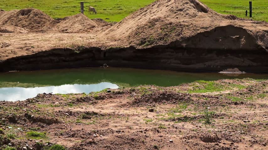 An excavated pond with greenish water surrounded by exposed soil, earth mounds, grassland, and a grazing animal in a rural outdoor environment.