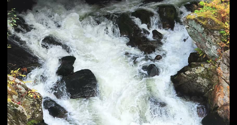 Rushing Creek Water Over Rocks in Ketchikan Alaska 4K
