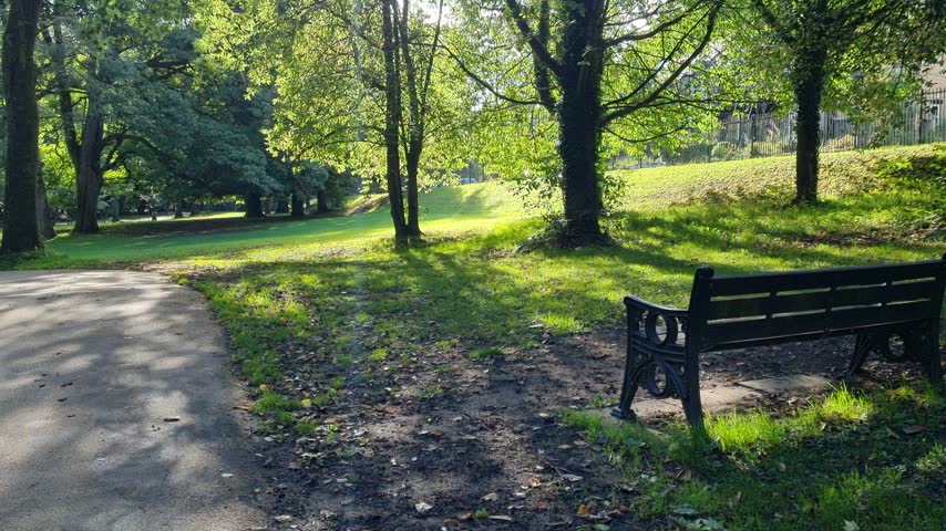 Sunny asphalt path beside a manicured lawn with mature trees, visible branches and a park bench