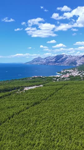 Croatia, aerial view of the Adriatic coast, Makarska Riviera, pine forest, and Biokovo mountains