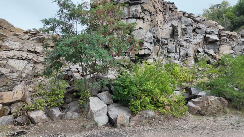 Massive cliffs of an abandoned quarry with large stone blocks, a pile of stones, and green trees and bushes growing among them under an overcast sky.