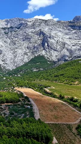 Croatia, Biokovo mountain landscape with green forest, dry grass field and rocky peaks