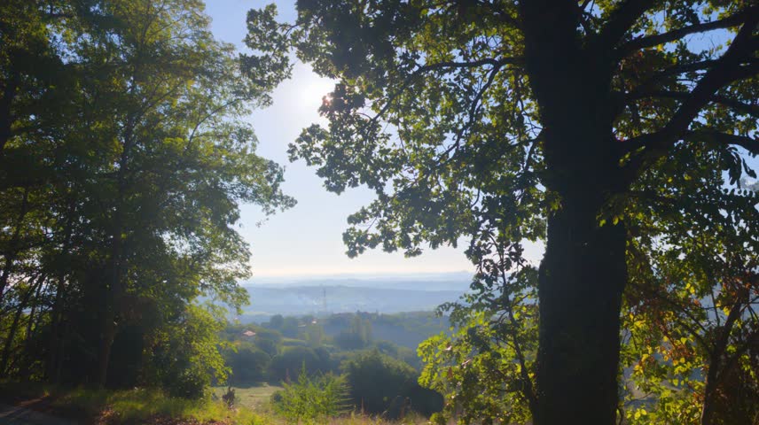 Hilly landscape framed by large trees and leaves in the foreground, with strong summer sunlight and panoramic view of the valley