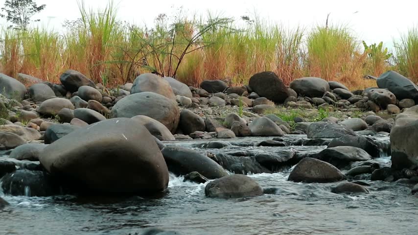 Wide natural river landscape with large smooth boulders and stones in flowing clear water. Gentle rapids and small ripples surround the massive central rock, with tall wild grasses and dry vegetation lining the riverbank under soft warm daylight. Serene tropical Indonesian countryside waterscape, untouched nature, peaceful stream flow, tranquil outdoor environment.