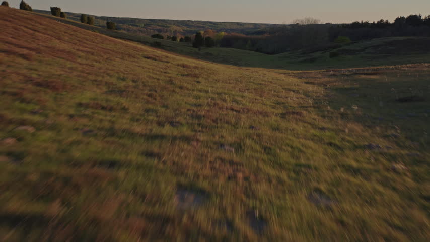 Aerial view of a sloping heath lined by a dry stone wall and scattered juniper trees, bathed in the fading light of dusk.