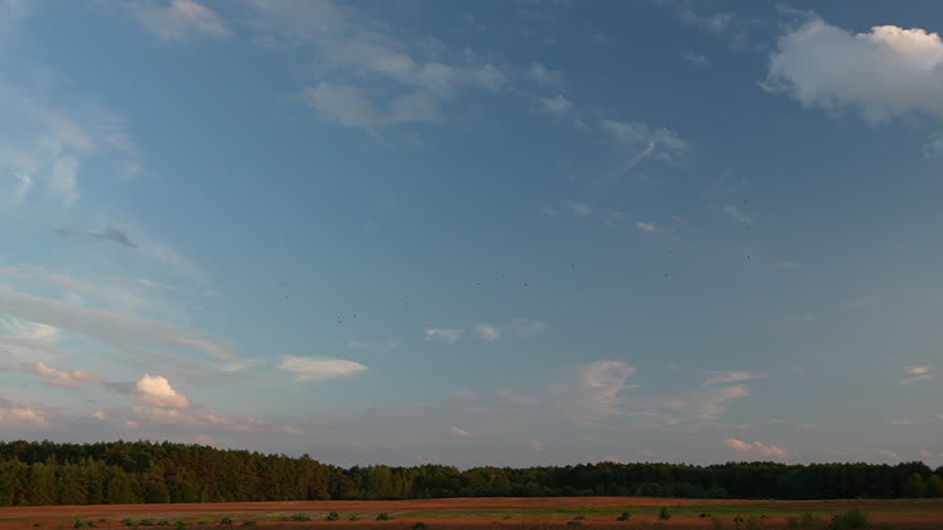 Landscape with distant trees and cloudy blue sky at sunset