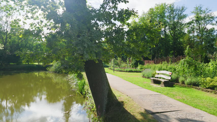 Pedestrian path and pond in green public park in summer