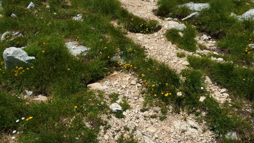 Rugged mountain path winds through green grass and rocks. Yellow flowers dot the trail