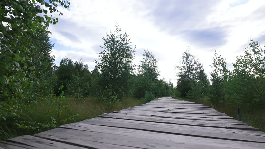 Time lapse of wooden boardwalk path in bog forest with passing clouds