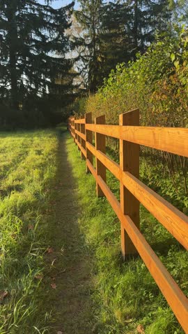 Wooden fence along grassy path in autumn park at sunset