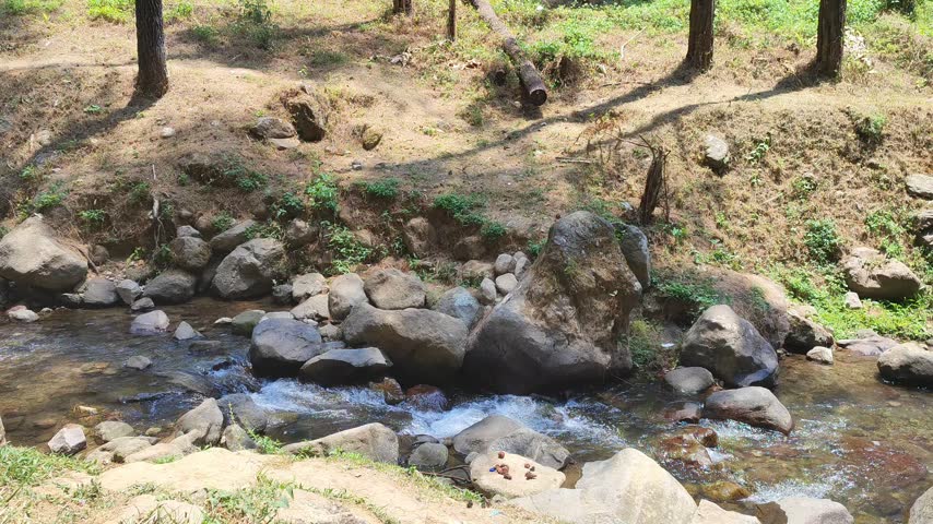 A natural shallow stream flowing between large rocks in a dry green landscape, surrounded by wild vegetation, soil, and a rustic wooden fence under bright natural sunlight.