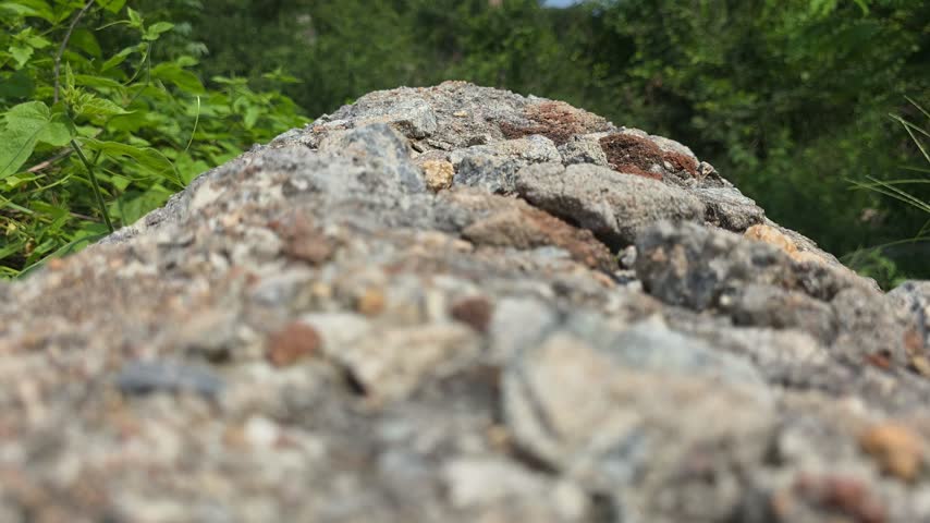 Close view of a weathered rocky surface with green vegetation visible around the edges.