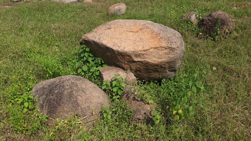 Wide view of rounded rocks resting in green grass and low vegetation outdoors.