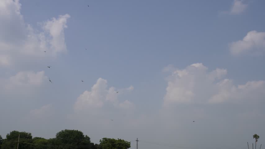 Wide view of large white clouds above a dark green tree line and landscape.
