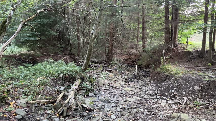 Dry rocky bed of a mountain stream in the Beskids after a period of drought, with exposed stones and gravel surrounded by forest and green vegetation.