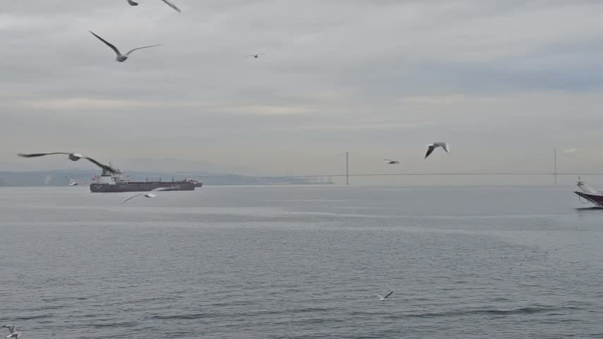 Passenger ferry sailing across the sea with seagulls flying around in Istanbul