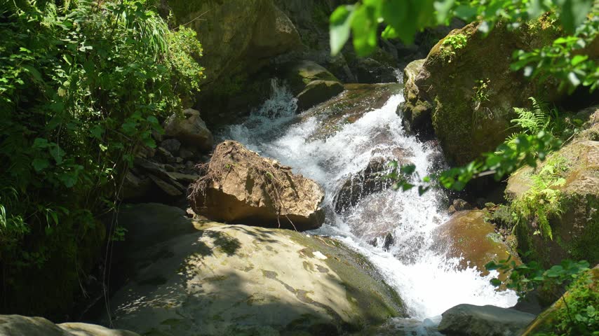 Rushing water of a wild mountain river flowing over stones through a beautiful forest, creating a small cascade with white foam on a sunny day in a picturesque, tranquil natural park