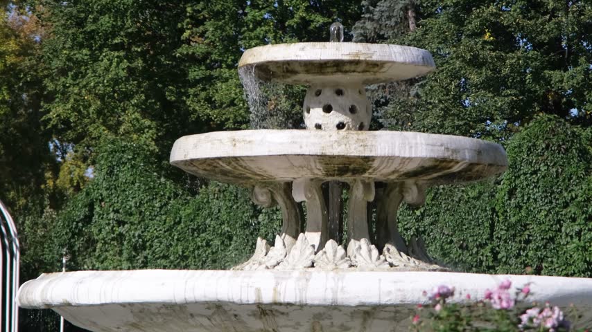 old vintage water fountain in city park with dancing shadows and roses around it