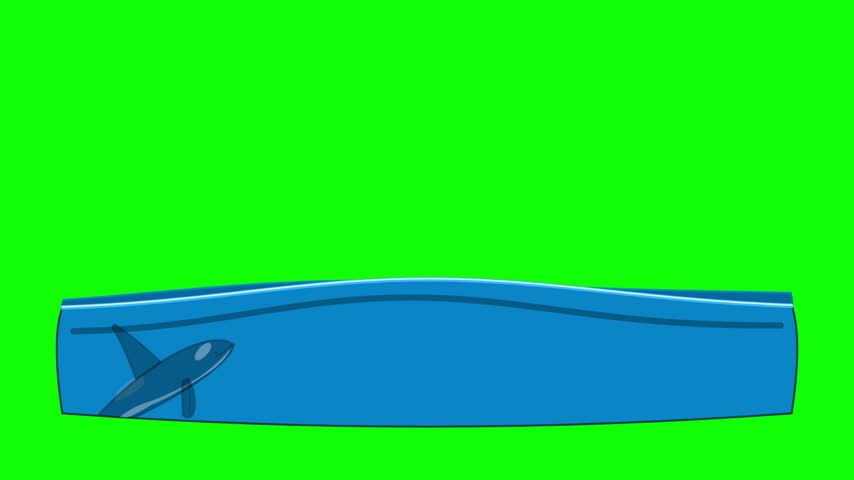 Animated Cartoon Orca Killer Whale Jumping Through Blue Ocean Waves on Green Screen Background