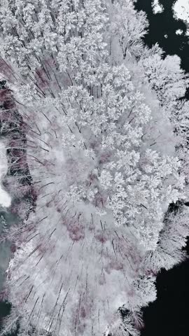 Flight over cold river and snowy forest in Poland. Bird eye view of snowy winter in nature.