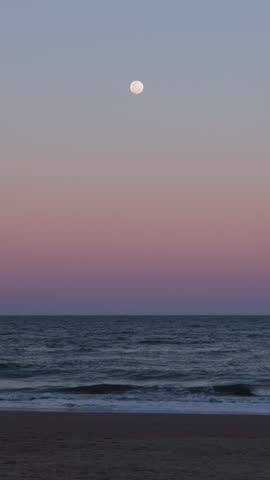 Full moon rising over a tropical beach with waves breaking under a magenta and blue sky
Beautiful night seascape with waves crashing on shore under a colorful gradient sky and full moon
Tropical beach at dusk with a full moon, breaking waves, and a vibrant magenta to blue sky