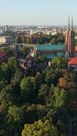 Aerial view of Wroclaw, Poland showcasing historic architecture, green trees, and vibrant rooftops under clear blue sky during daylight hours