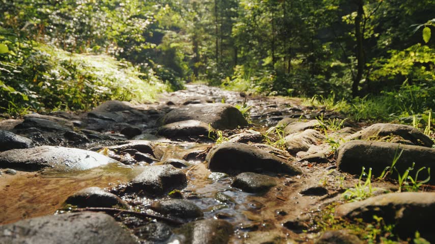 Low angle view of person hiking in waterproof boots across mountain creek with flowing water amidst lush nature landscape during bright sunny day outdoor recreation activity.