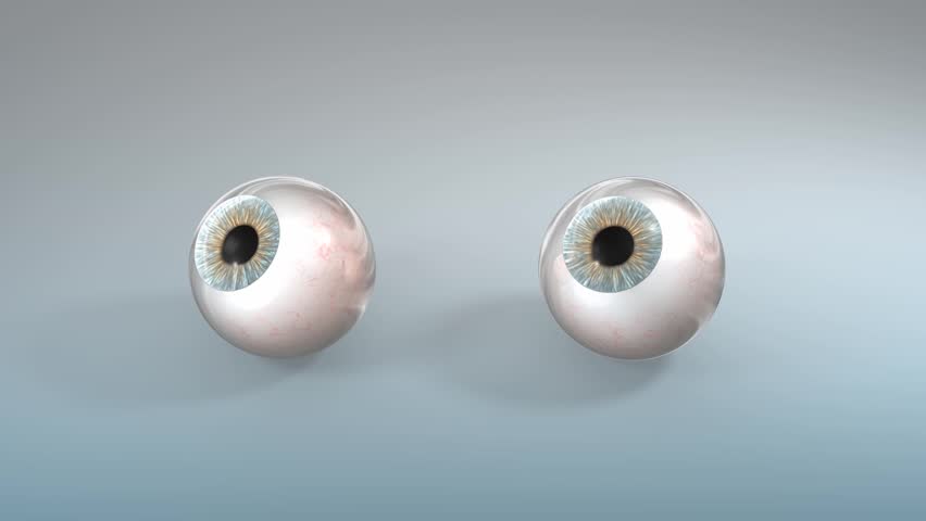 Human eyeballs