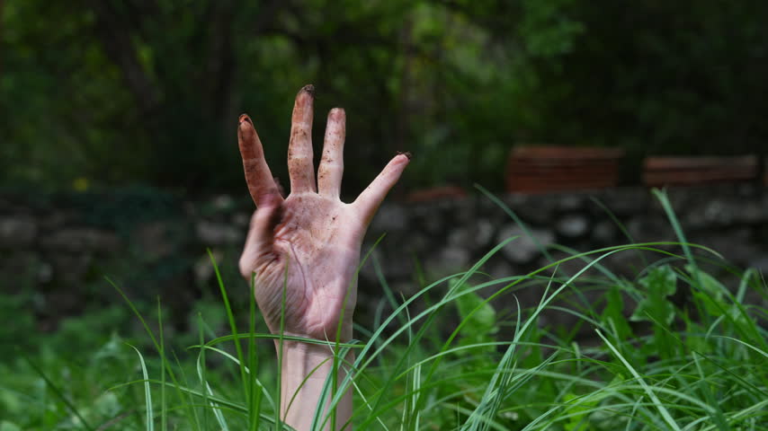 A soiled hand rises from lush grass and slowly spreads and flexes its fingers in front of an old stone wall, a zombie style Halloween scene of horror and survival.
