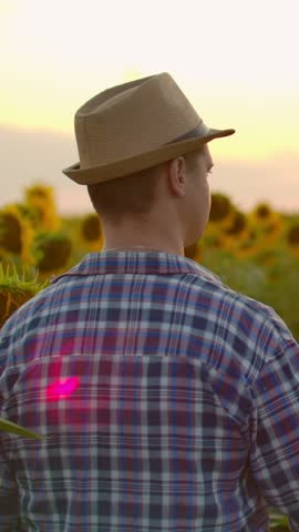 Man in plaid shirt and straw hat standing in blooming sunflower field at sunset, enjoying peaceful rural landscape and serene golden hour light