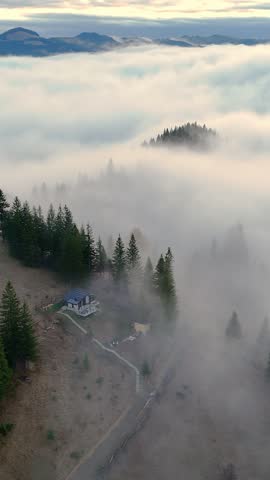 Misty mountain homestead surrounded by spruce trees above a sea of clouds, drone video frame with soft dawn light, rolling hills and quiet rural atmosphere