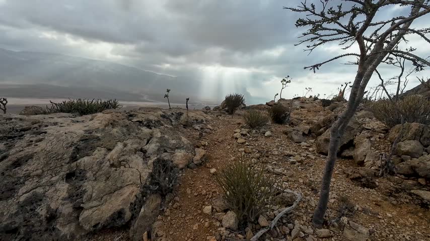 Rocky desert hillside with sparse dry shrubs overlooking a wide valley beneath dark storm clouds and bright sun rays. Socotra, Yemen.