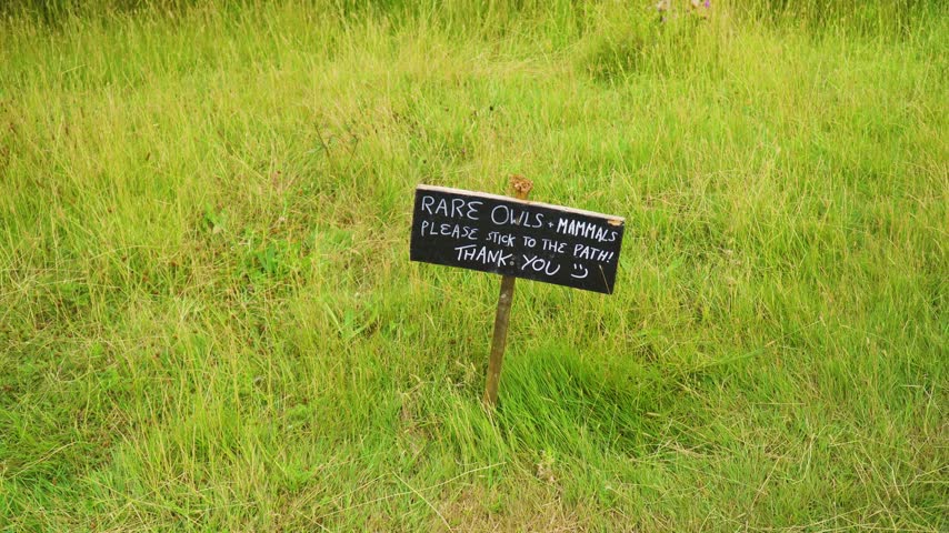 Nature conservation effort shown through a rustic black sign in a lush meadow. The white hand-painted text warns hikers about rare wildlife and encourages responsible outdoor hiking