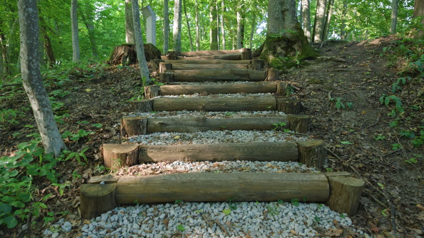 Wooden stairs on hiking path in green summer forest