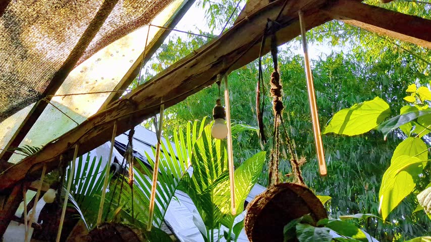 Sunlight shining through green tropical leaves and bamboo hut in a lush garden.