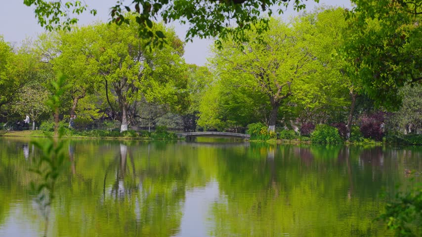 Spring Park landscape with lush green trees reflecting in a calm lake